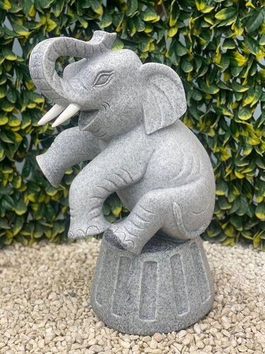 Elephant Sitting Grey