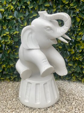 Elephant Sitting White