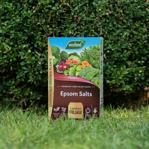 Epsom Salts 1.5kg