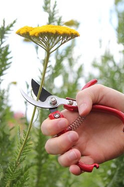 Ergo Pruner - image 2
