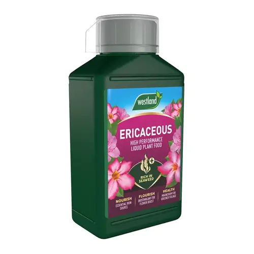 Ericaceous Specialist Liq Feed 1L - image 1