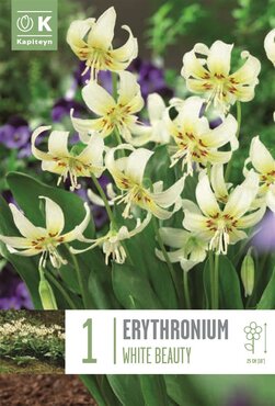 Erythronium White Beauty