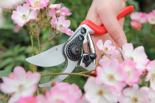 Expert Bypass Pruner - image 2