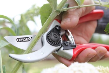 Expert Drop Forged Pruner - image 2