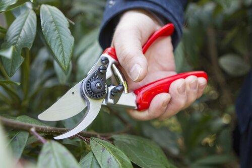 Expert Rotate Handle Pruner - image 2