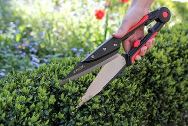 Expert Topiary Shear - image 1
