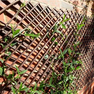 Extra Strong Expanding Willow Trellis 1.8m x 0.9m - image 2
