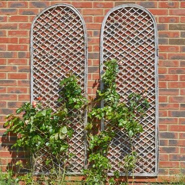 Extra Strong Framed Willow Trellis - Round 1.8 x 0.60m - image 2