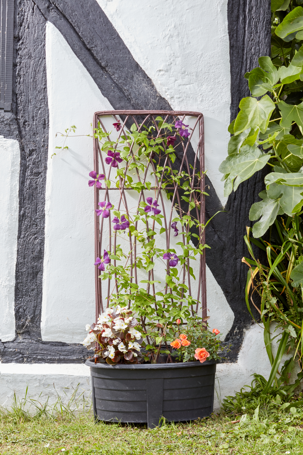 Rectangle Trellis Trellis RectangularNatural 1.2x0.45m - Stewarts Garden Centre