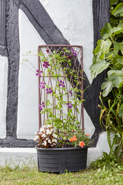 Trellis Rectangular Natural 1.8x0.6m - image 1