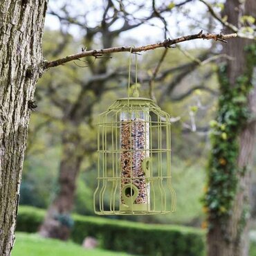 Feeder Original Squirrel Proof Seed - image 2