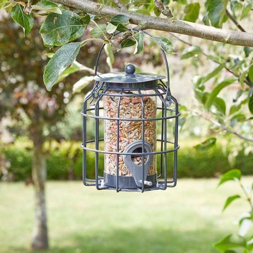 Feeder Seed Compact Squirrel Proof - image 1