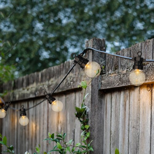 Festoon Party Lights (Clear Bulbs) - image 3