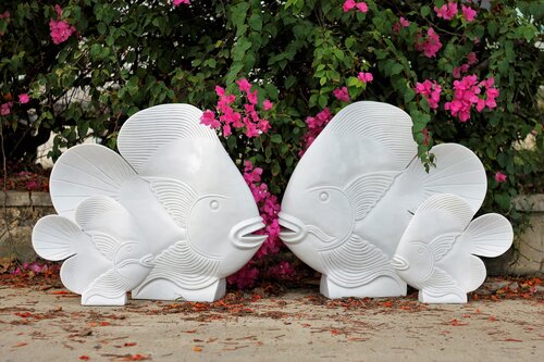 Fish Medium White