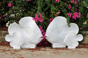 Fish Medium White