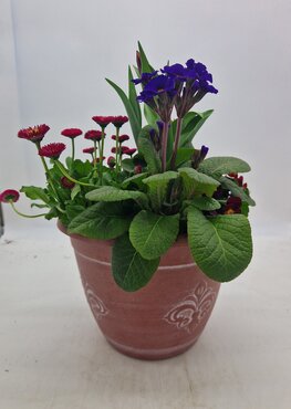 Fleur de Lys Planter 30cm