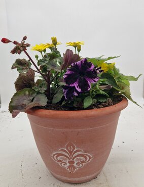 Fleur De Lys Planter 30cm