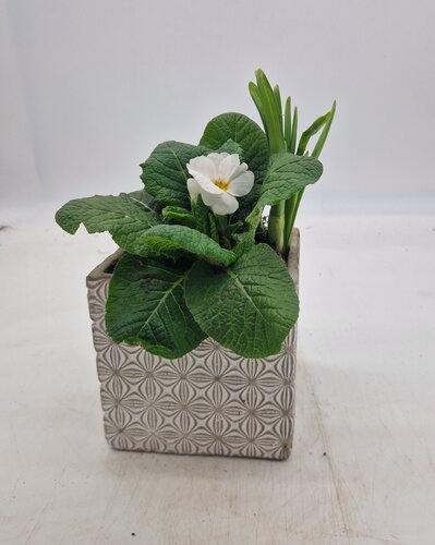 Floral Patterned Square Planter