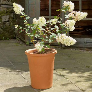 Flowerpot Tall 30cm x 40cm - image 2