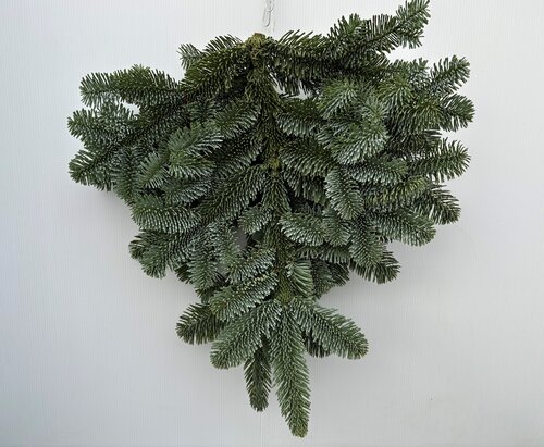 Foliage Bundle