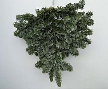 Foliage Bundle