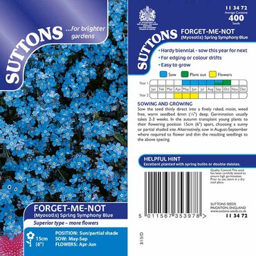 Forget-Me-Not Seeds Spring Symphony Blue - image 2