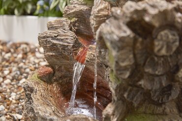 Fountain Coppice - image 2