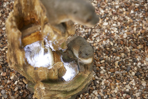 Fountain Playtime - image 4