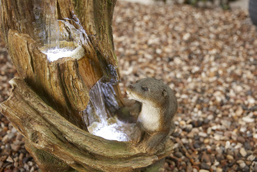 Fountain Playtime - image 5