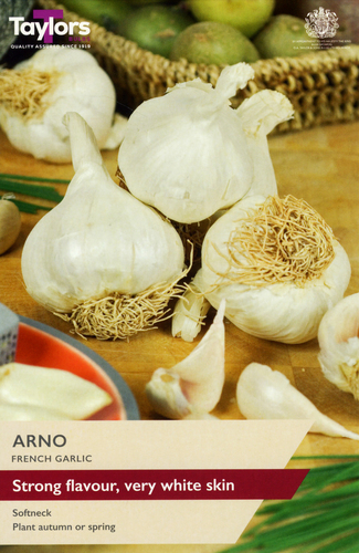 French Garlic Arno