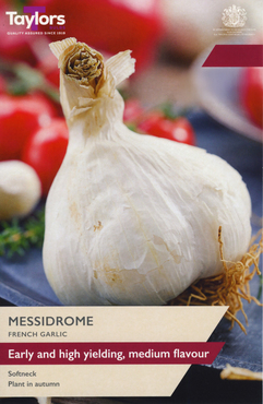 French Garlic Messidrome