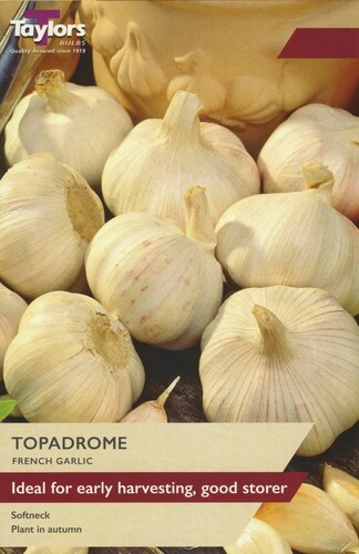 French Garlic Topadrome