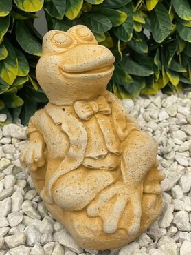 Frog Chillin Sandstone - image 3