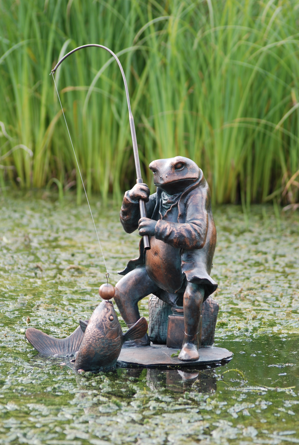 Frog Fishing - Stewarts Garden Centre