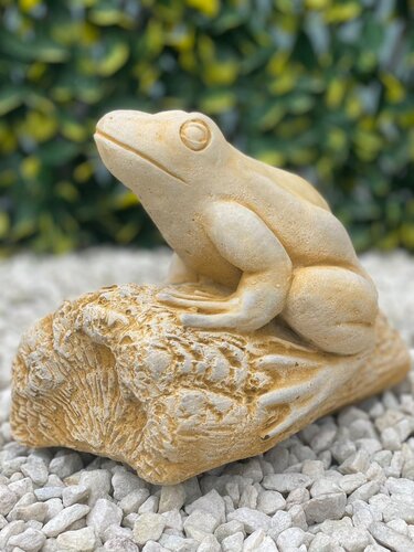 Frog Sandstone - image 1