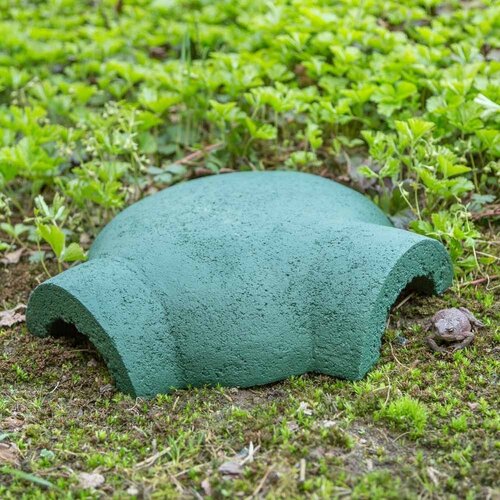 Frog & Toad Bunker
