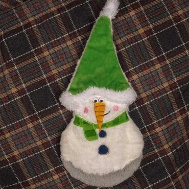 Frosty PlayPal - image 2