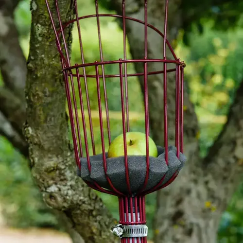 Fruit Picker Telescopic - image 3