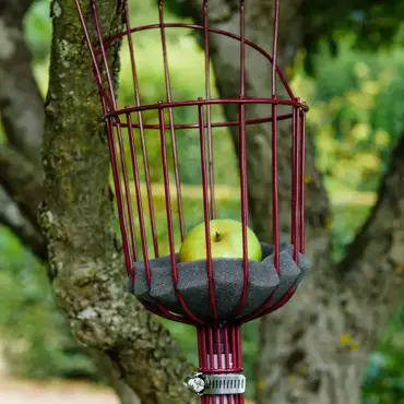 Fruit Picker Telescopic - image 3