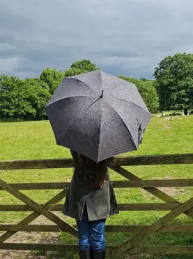 Fulton Umbrella Hampstead UV Strawberry Thief Graphite - image 2