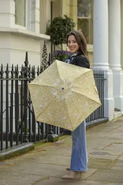 Fulton Umbrella Tiny Beauty Of Life - image 3