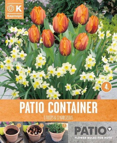 Garden Container Pack Tulip Orange & Narcissus Cream