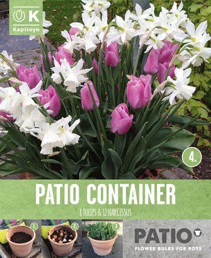 Garden Container Pack Tulip Pink & Narcissus White