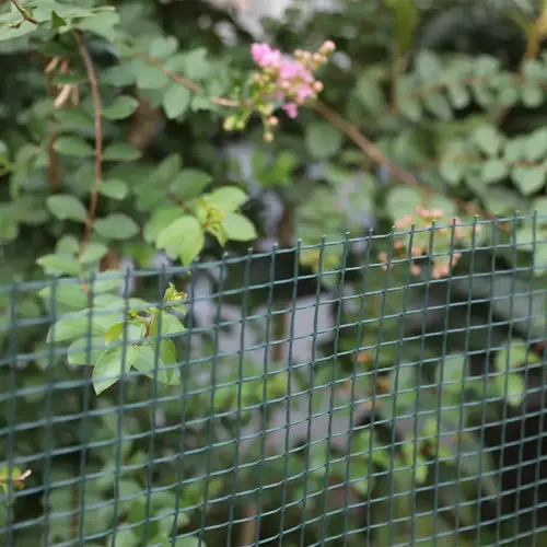 Garden & Plant Mesh 50 mm 5m x 1m Green - image 3