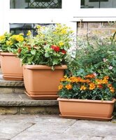 Gardening Pots & Planters