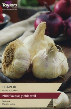 Garlic French Flavor