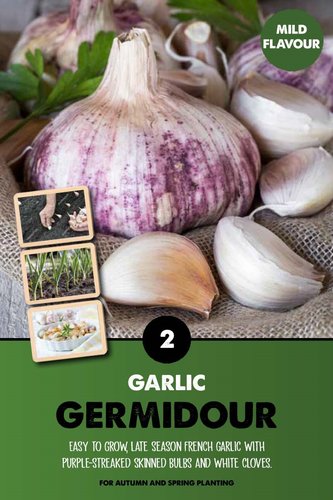 Garlic (Germidour)
