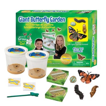Giant Butterfly Garden - image 1