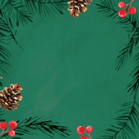 Christmas Gifts Under £50