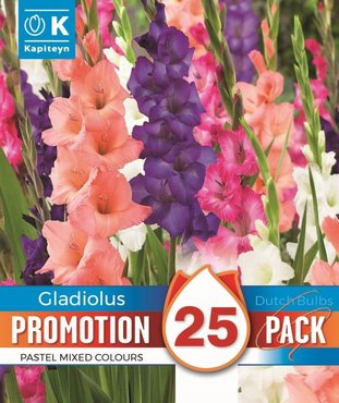 Gladioli Pastel Mix Promo Pack